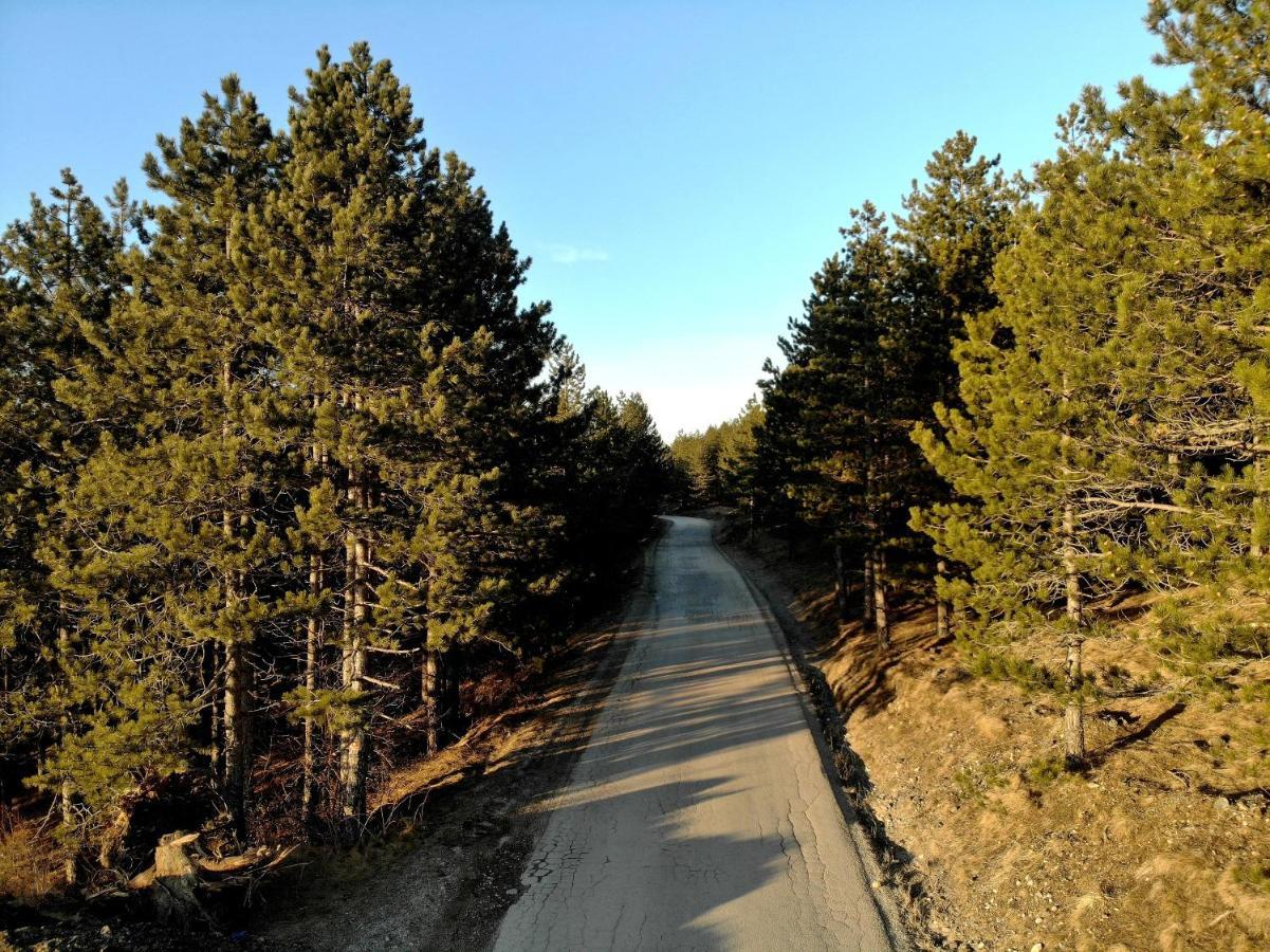 Zlatibor Hills Royal Lejlighed Eksteriør billede