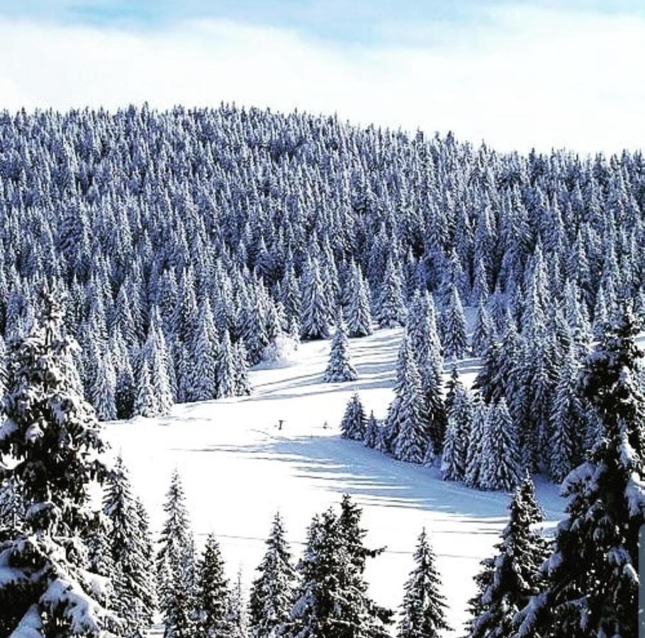 Zlatibor Hills Royal Lejlighed Eksteriør billede