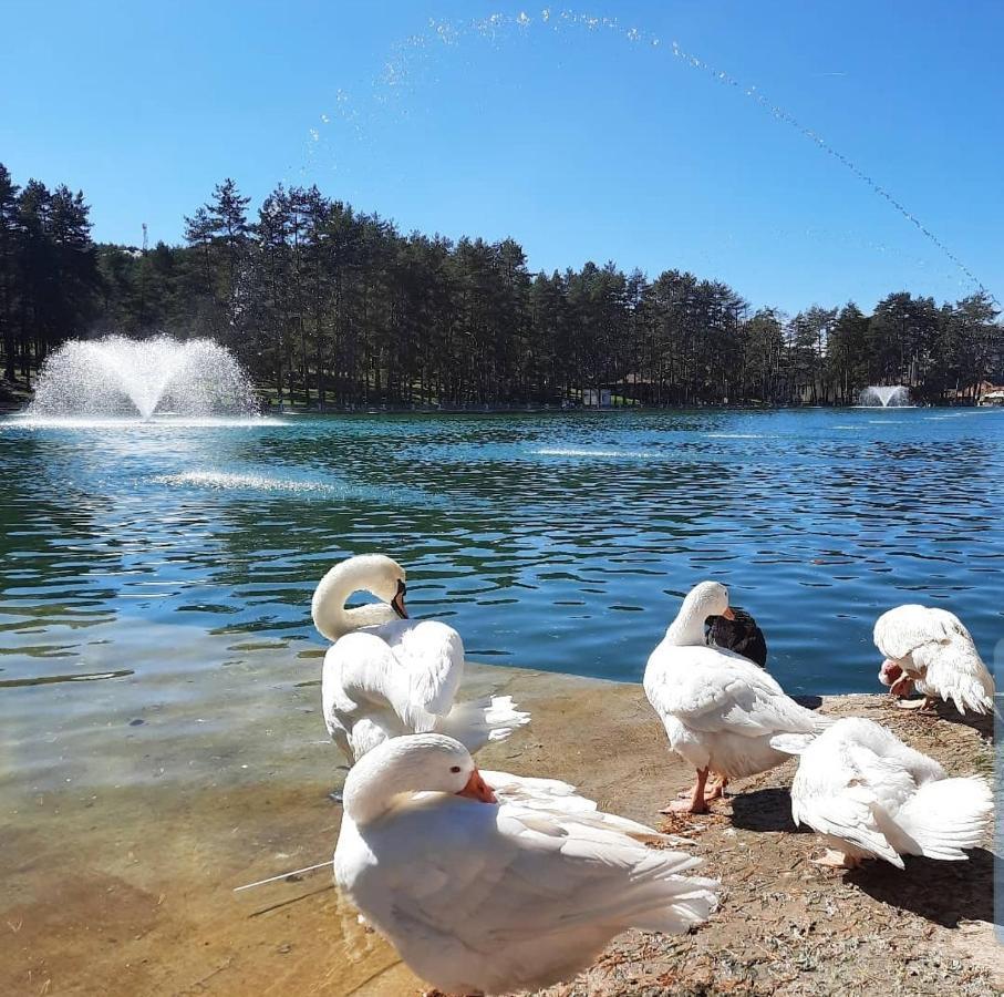 Zlatibor Hills Royal Lejlighed Eksteriør billede
