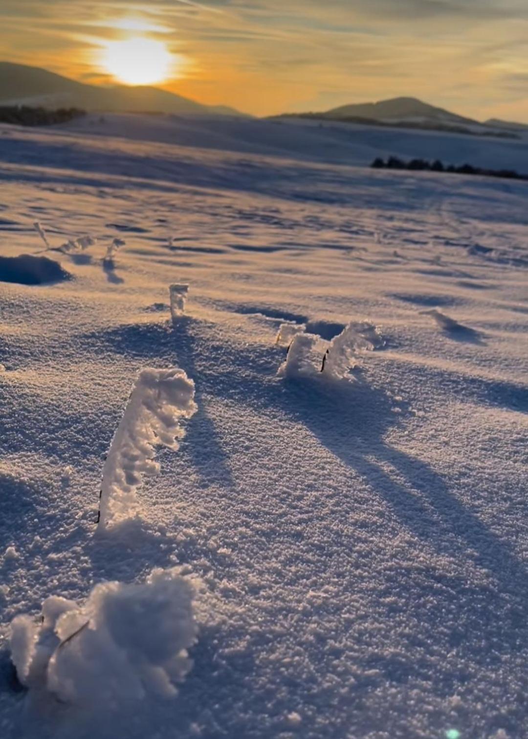 Zlatibor Hills Royal Lejlighed Eksteriør billede